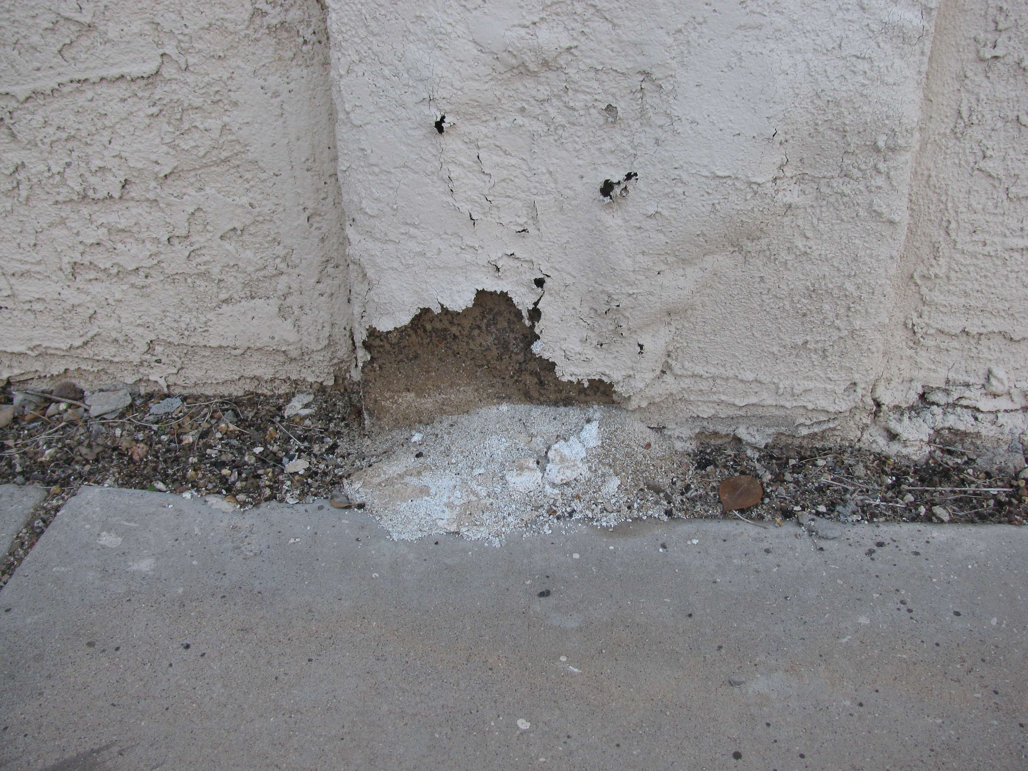 Sulfate Attack of Stuccoed Block